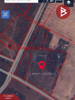 ขายที่ดินแปลงสวย เนื้อที่ 9 ไร่ 2 งาน 45.5 ตร.วา ศรีบัวบาน ลำพูน-202509051138291757047109831.jpg