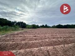 ขายที่ดิน เนื้อที่ 6 ไร่ ศรีราชา ชลบุรี-202509051150311757047831962.jpg