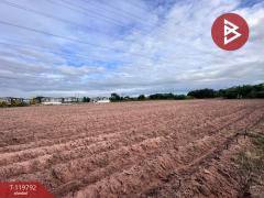 ขายที่ดิน เนื้อที่ 6 ไร่ ศรีราชา ชลบุรี-202509051150321757047832478.jpg