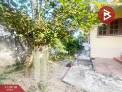 ขายบ้านเดี่ยวชั้นเดียว เนื้อที่ 1 งาน สันทราย เชียงใหม่-202509051216131757049373659.jpg