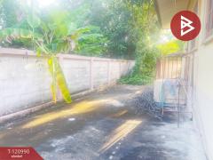 ขายบ้านเดี่ยวชั้นเดียว เนื้อที่ 1 งาน สันทราย เชียงใหม่-202509051216141757049374198.jpg