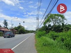 ขายที่ดินพร้อมสวน เนื้อที่ 10 ไร่ 1 งาน 9.8 ตร.วา นาบอน นครศรีธรรมราช-202509051504081757059448748.jpg
