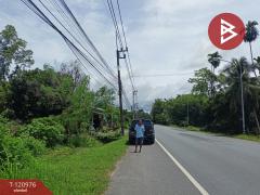 ขายที่ดินพร้อมสวน เนื้อที่ 10 ไร่ 1 งาน 9.8 ตร.วา นาบอน นครศรีธรรมราช-202509051504091757059449274.jpg