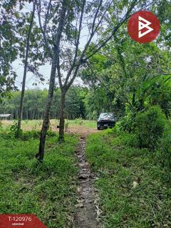 ขายที่ดินพร้อมสวน เนื้อที่ 10 ไร่ 1 งาน 9.8 ตร.วา นาบอน นครศรีธรรมราช-202509051504111757059451487.jpg