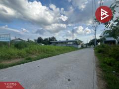 ขายที่ดิน เนื้อที่ 8 ไร่ 22.8 ตารางวา พร้อมทุเรียน ต.ห้วยยาง อ.แกลง จ.ระยอง-202509051537201757061440508.jpg