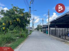 ขายที่ดิน เนื้อที่ 8 ไร่ 22.8 ตารางวา พร้อมทุเรียน ต.ห้วยยาง อ.แกลง จ.ระยอง-202509051537221757061442832.jpg