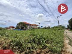 ขายที่ดิน เนื้อที่ 60 ตร.วา ลาดบัวหลวง พระนครศรีอยุธยา-202509051541151757061675963.jpg