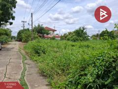 ขายที่ดิน เนื้อที่ 60 ตร.วา ลาดบัวหลวง พระนครศรีอยุธยา-202509051541161757061676482.jpg
