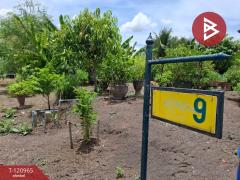 ขายที่ดิน เนื้อที่ 60 ตร.วา ลาดบัวหลวง พระนครศรีอยุธยา-202509051541171757061677018.jpg