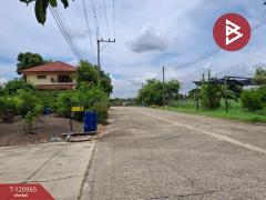ขายที่ดิน เนื้อที่ 60 ตร.วา ลาดบัวหลวง พระนครศรีอยุธยา-202509051541171757061677551.jpg