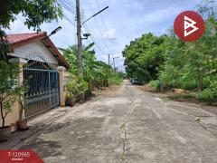 ขายที่ดิน เนื้อที่ 60 ตร.วา ลาดบัวหลวง พระนครศรีอยุธยา-202509051541181757061678644.jpg