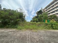 ขาย ที่ดินเปล่า ถมแล้ว โครงการมิตรประชา  1 ไร่-202509051554091757062449559.jpg