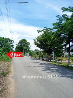 ขายที่ดินเปล่า ติดแม่น้ำเจ้าพระยา เนื้อที่ 7-1-67 ไร่ ถนนสาย อย.3118  ตำบลไม้ตรง อำเภอบางไทร จังหวัดพระนครศรีอยุธยา-202509051655561757066156312.jpg