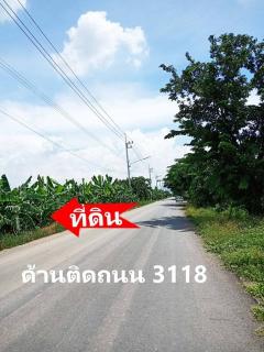 ขายที่ดินเปล่า ติดแม่น้ำเจ้าพระยา เนื้อที่ 7-1-67 ไร่ ถนนสาย อย.3118  ตำบลไม้ตรง อำเภอบางไทร จังหวัดพระนครศรีอยุธยา-202509051657271757066247341.jpg