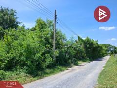 ขายที่ดิน-เนื้อที่-1-งาน-3-ตร.วา-ไทรน้อ