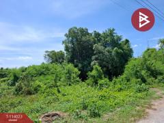 ขายที่ดิน เนื้อที่ 1 งาน 3 ตร.วา ไทรน้อย นนทบุรี-202509051742131757068933289.jpg