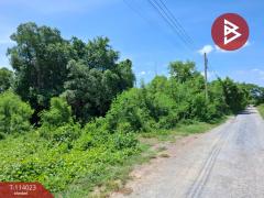 ขายที่ดิน เนื้อที่ 1 งาน 3 ตร.วา ไทรน้อย นนทบุรี-202509051742131757068933816.jpg