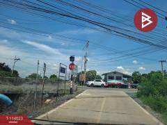 ขายที่ดิน เนื้อที่ 1 งาน 3 ตร.วา ไทรน้อย นนทบุรี-202509051742141757068934382.jpg