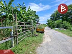 ขายที่ดิน เนื้อที่ 1 งาน 3 ตร.วา ไทรน้อย นนทบุรี-202509051742151757068935435.jpg