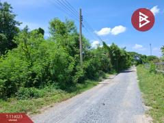 ขายที่ดิน เนื้อที่ 1 งาน 3 ตร.วา ไทรน้อย นนทบุรี-202509051742161757068936003.jpg