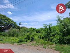 ขายที่ดิน เนื้อที่ 1 งาน 3 ตร.วา ไทรน้อย นนทบุรี-202509051742161757068936550.jpg