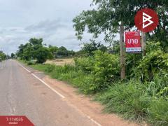 ขายที่ดิน เนื้อที่ 8 ไร่ นายม อำนาจเจริญ-202509051744581757069098240.jpg