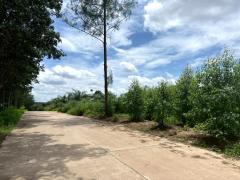 ขาย ที่ดิน ME386 ทำเลดี ติดนิคมโรจนะ หนองใหญ่ ห้างสูง ชลบุรี . 13 ไร่ 2 งาน 56 ตรว รูปแปลงสวย ใกล้ท่าเรือแหลมฉบัง ถนน 344 เพียง 3 Km.-202509051912521757074372455.jpg