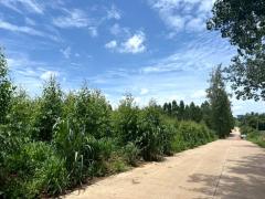 ขาย ที่ดิน ME386 ทำเลดี ติดนิคมโรจนะ หนองใหญ่ ห้างสูง ชลบุรี . 13 ไร่ 2 งาน 56 ตรว รูปแปลงสวย ใกล้ท่าเรือแหลมฉบัง ถนน 344 เพียง 3 Km.-202509051912531757074373095.jpg