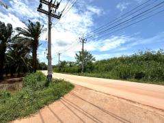 ขาย ที่ดิน ME386 ทำเลดี ติดนิคมโรจนะ หนองใหญ่ ห้างสูง ชลบุรี . 13 ไร่ 2 งาน 56 ตรว รูปแปลงสวย ใกล้ท่าเรือแหลมฉบัง ถนน 344 เพียง 3 Km.-202509051912541757074374194.jpg