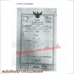ขายที่ดิน 14 ไร่ ติดถนนเพชรเกษม ใกล้สี่แยกปราณบุรี-202509061124071757132647704.jpg
