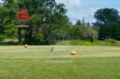 ที่ดิน อีสเทิร์นสตาร์ กอล์ฟ บ้านฉาง เนื้อที่ 413 ตรว. ตำบลพลา อำเภอบ้านฉาง จังหวัดระยอง-202509061207051757135225255.jpg