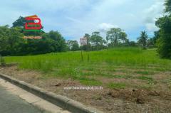 ที่ดิน อีสเทิร์นสตาร์ กอล์ฟ บ้านฉาง เนื้อที่ 413 ตรว. ตำบลพลา อำเภอบ้านฉาง จังหวัดระยอง-202509061207061757135226235.jpg