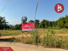 ขายที่ดิน เนื้อที่ 5 ไร่ 3 งาน 21.2 ตร.วา แม่จัน เชียงราย