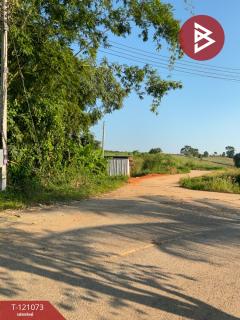 ขายที่ดิน เนื้อที่ 5 ไร่ 3 งาน 21.2 ตร.วา แม่จัน เชียงราย-202509061254391757138079684.jpg