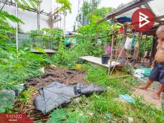 ขายด่วนที่ดิน เนื้อที่ 45.7 ตารางวา แบริ่ง-ศรีด่าน 3 สมุทรปราการ-202509061255321757138132643.jpg