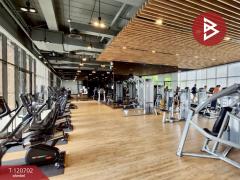 ขายคอนโด เดอะพาร์คแลนด์ เพชรเกษม (The Parkland Phetkasem) กรุงเทพมหานคร-202509061416081757142968478.jpg