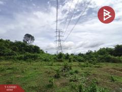 ขายที่ดิน เนื้อที่ 18 ไร่ 66 ตร.วา ทุ่งสง นครศรีธรรมราช