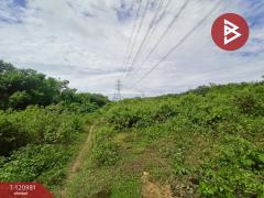 ขายที่ดิน เนื้อที่ 18 ไร่ 66 ตร.วา ทุ่งสง นครศรีธรรมราช-202509061438491757144329784.jpg