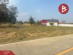 ขายที่ดิน เนื้อที่ 3 งาน 80 ตร.วา สันกำแพง เชียงใหม่-202509061539131757147953383.jpg