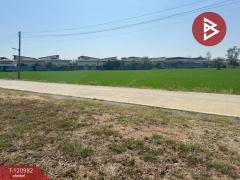 ขายที่ดิน เนื้อที่ 3 งาน 80 ตร.วา สันกำแพง เชียงใหม่-202509061539151757147955128.jpg