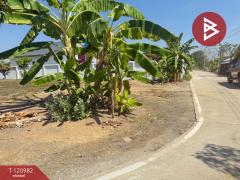 ขายที่ดิน เนื้อที่ 3 งาน 80 ตร.วา สันกำแพง เชียงใหม่-202509061539161757147956229.jpg