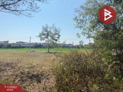 ขายที่ดิน เนื้อที่ 3 งาน 80 ตร.วา สันกำแพง เชียงใหม่-202509061539171757147957327.jpg