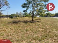 ขายที่ดิน เนื้อที่ 3 งาน 80 ตร.วา สันกำแพง เชียงใหม่-202509061539171757147957889.jpg