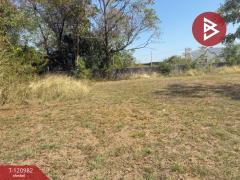 ขายที่ดิน เนื้อที่ 3 งาน 80 ตร.วา สันกำแพง เชียงใหม่-202509061539181757147958448.jpg