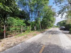 ขาย ที่ดิน เพชรเกษม 77 แยก 1 ขนาด 362 ตรว ใกล้ถ.เพชรเกษม 1 กม CC-202509061818461757157526528.jpg