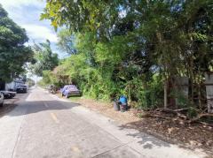 ขาย ที่ดิน เพชรเกษม 77 แยก 1 ขนาด 362 ตรว ใกล้ถ.เพชรเกษม 1 กม CC-202509061818471757157527616.jpg