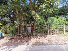 ขาย ที่ดิน เพชรเกษม 77 แยก 1 ขนาด 362 ตรว ใกล้ถ.เพชรเกษม 1 กม CC-202509061818481757157528233.jpg