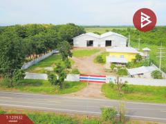 ขาย/เช่าโกดังพร้อมบ้าน เนื้อที่ 6 ไร่ 3 งาน 56 ตร.วา กบินทร์บุรี ปราจีนบุรี