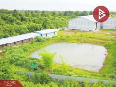 ขาย/เช่าโกดังพร้อมบ้าน เนื้อที่ 6 ไร่ 3 งาน 56 ตร.วา กบินทร์บุรี ปราจีนบุรี-202509070936541757212614464.jpg