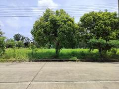 ขาย ที่ดิน สนามกอล์ฟวินเซอร์ปาร์ค 2 ไร่ ใกล้ถ.สุวินทวงศ์แค่ 950 ม. CC-202509070955421757213742219.jpg